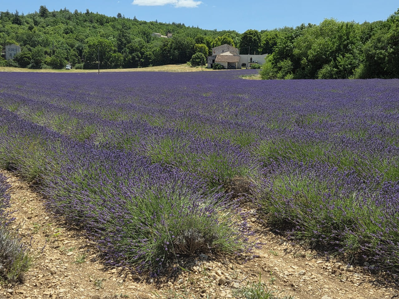 découverte du Vaucluse en camping-car